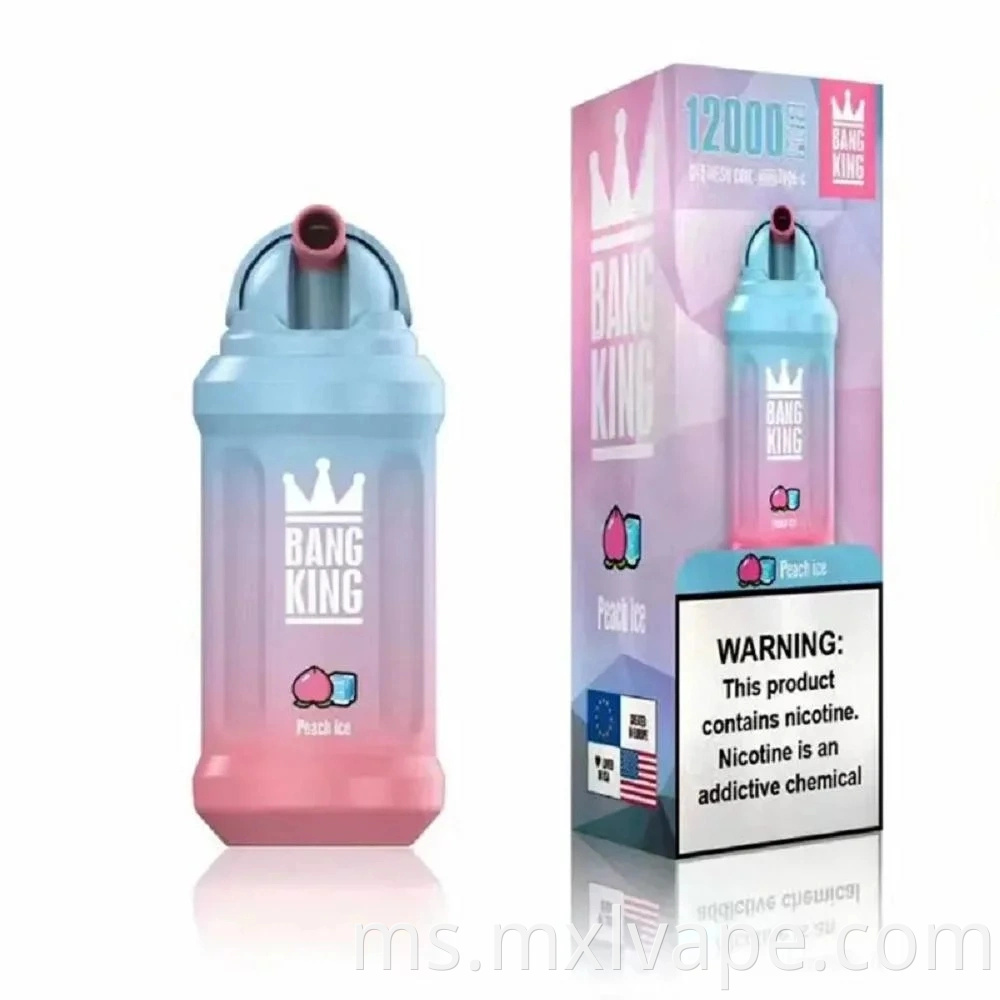 Bang King 12000 Puff Pucuk Bang 650mAh Bateri boleh dicas semula Bateri Gegelung 23ml Kapasiti Pods Vape Pena